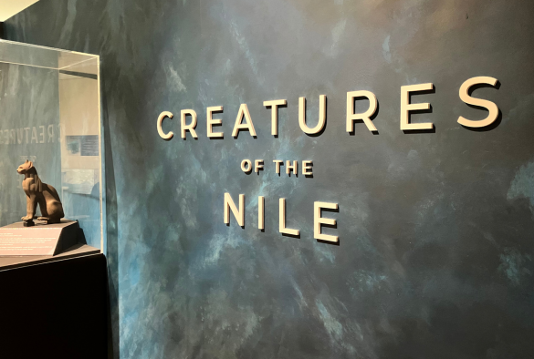 livuninews's tweet photo. NEWS | An exciting exhibition at @VictoriaGallery that explores the fascinating position animals held in ancient Egyptian and Sudanese society and culture opens this Saturday 4 May 🦛🐈🐍🐒

Read more here ⬇️

https://t.co/WNOCdjpUeC https://t.co/ywyRHnoFlP