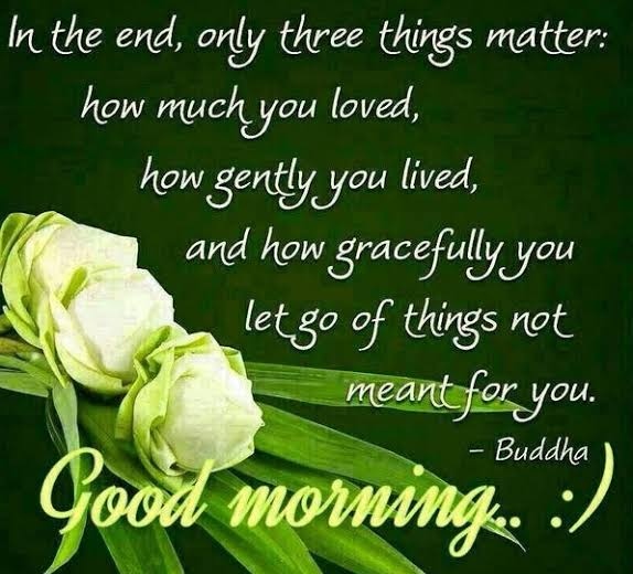 ✨️Good Morning, Beautiful soul's✨️
#GoodMorningTwitterWorld
@rashmi_hd