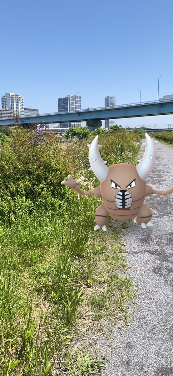 mel389's tweet photo. 246の二子玉付近の河川敷は、おこうから出たポケモンは砂浜ソース扱いみたい。
ウミディグダ出るかも？もう少し粘ってみよう!#ポケモンGO #ウミディグダ https://t.co/k4hDX2t7wJ