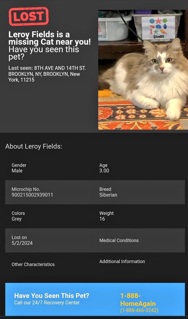 📢🆘️🗽🇺🇸😿Please RT to find Leroy Fields #NYC #missingcat #lostcat #Brooklyn #CatsOfTwitter #CatsOfX @HAPetRescuer