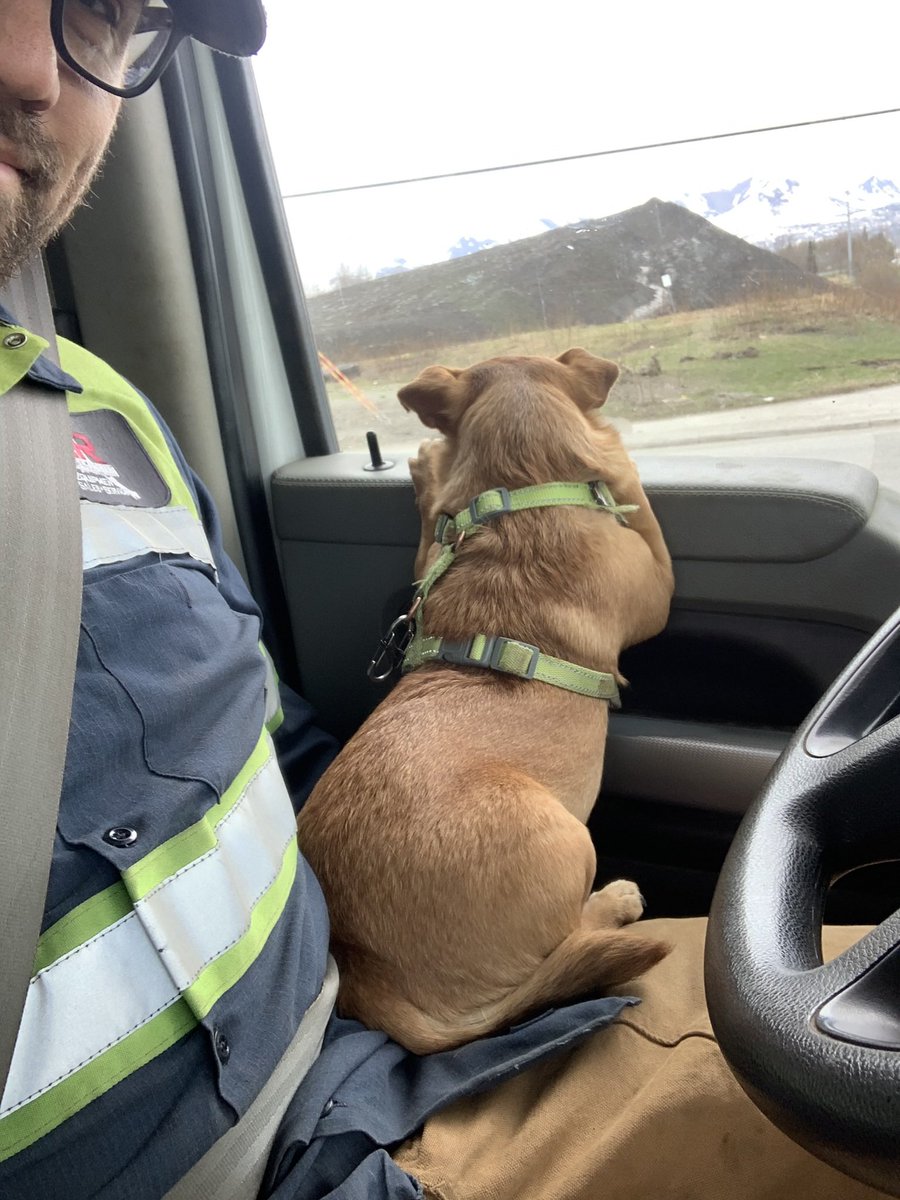 BenHam83er's tweet image. #codriver