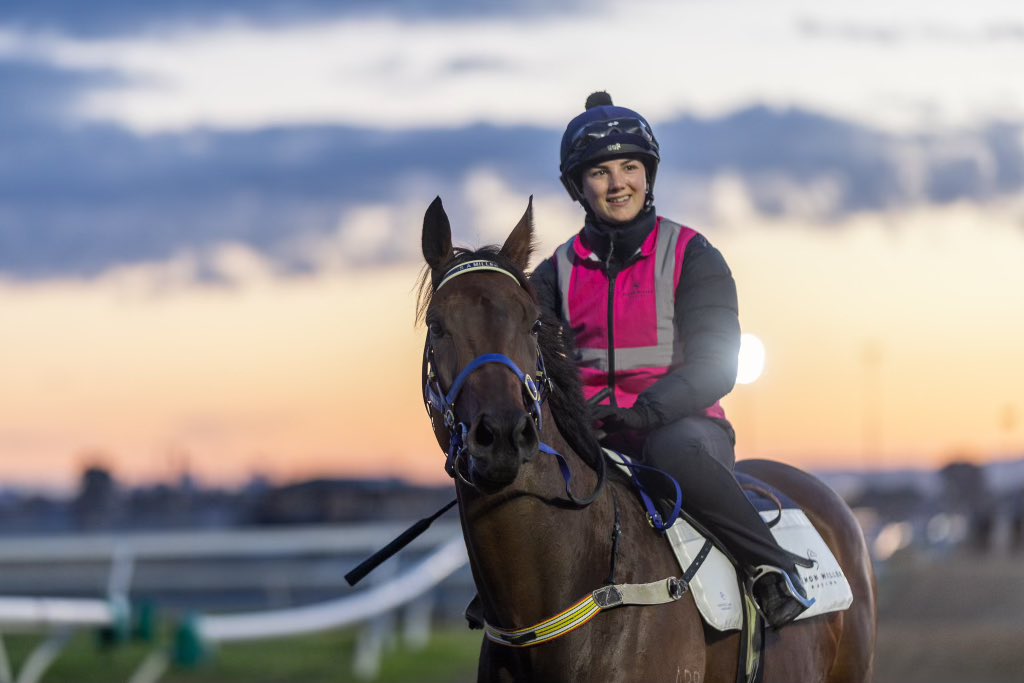 With Siobhan O’Donnell, Amelia’s Jewel getting used to her new surroundings in Adelaide ahead of G1 Goodwood. @TAB_touch @TABradio @TheRacesWA @PerthRacing