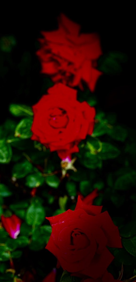 educationtr's tweet image. #May3rd🌍