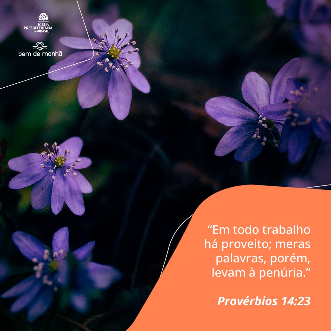 Bem de Manhã: Comece o dia meditando na sabedoria de Deus.

“Em todo trabalho há proveito; meras palavras, porém, levam à penúria.”

Provérbios 14:23