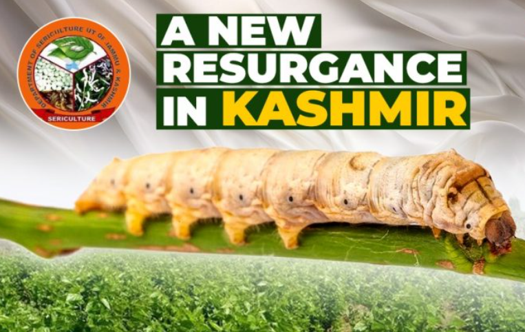 SLSVPurpose's tweet photo. After Revitalising Horticulture, Award Winning IAS Officer is Now Reviving Sericulture in Kashmir
https://t.co/zLOiNwCGoi
#SLSV #SLSVIndia #GreenEconomy
#KashmirSericulture #AgriculturalRevival
#SustainableDevelopment #HorticultureToSericulture @IASassociation @AjazAhmadIAS https://t.co/N3NAoEauZM