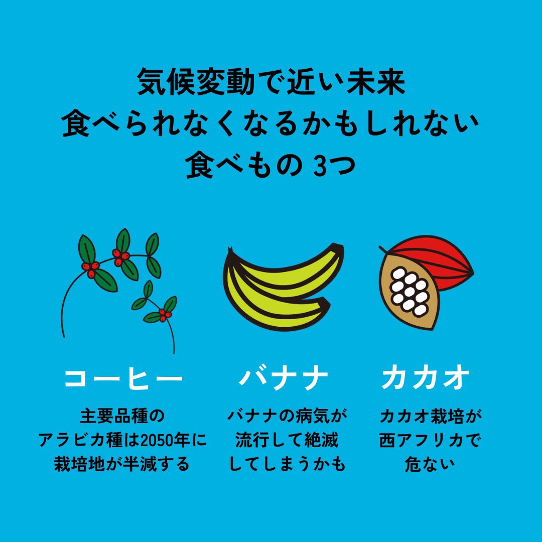 Cafe stand BLOSSOM では、フェアトレードバナナ🍌スムージー提供してます👍
その他に、甘酒バナナケーキとマフィンも1種類😁

是非とも、長谷まで😁

@FAIRTRADE