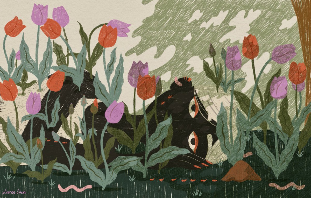 Thinking about tulips