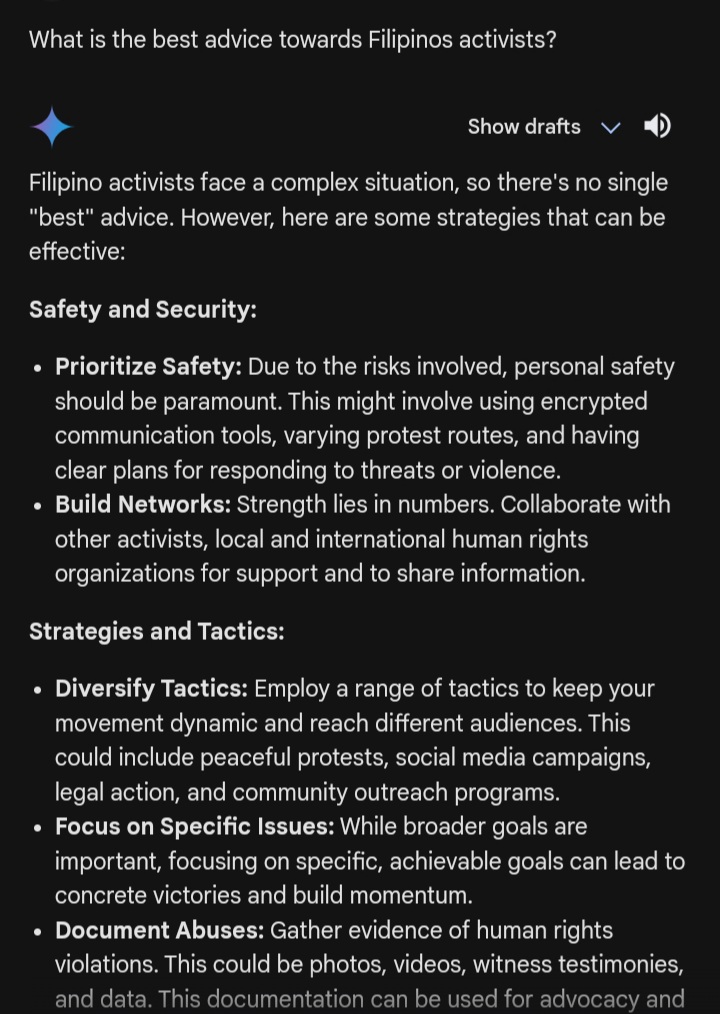 I ask Gemini aka Google version of ChatGPT (Part 1) 

What is the best advice towards Filipinos activist? Here is the response. 

#Anonymous #Activist #Hacktivist #Antifa #FckNazis #FckMarcos #OpPhilippines