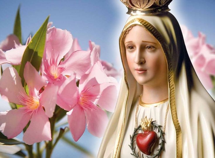 Maggio Mese Dedicato a Maria,Regina Della Pace Prega Per Noi 🌸🌺🌸