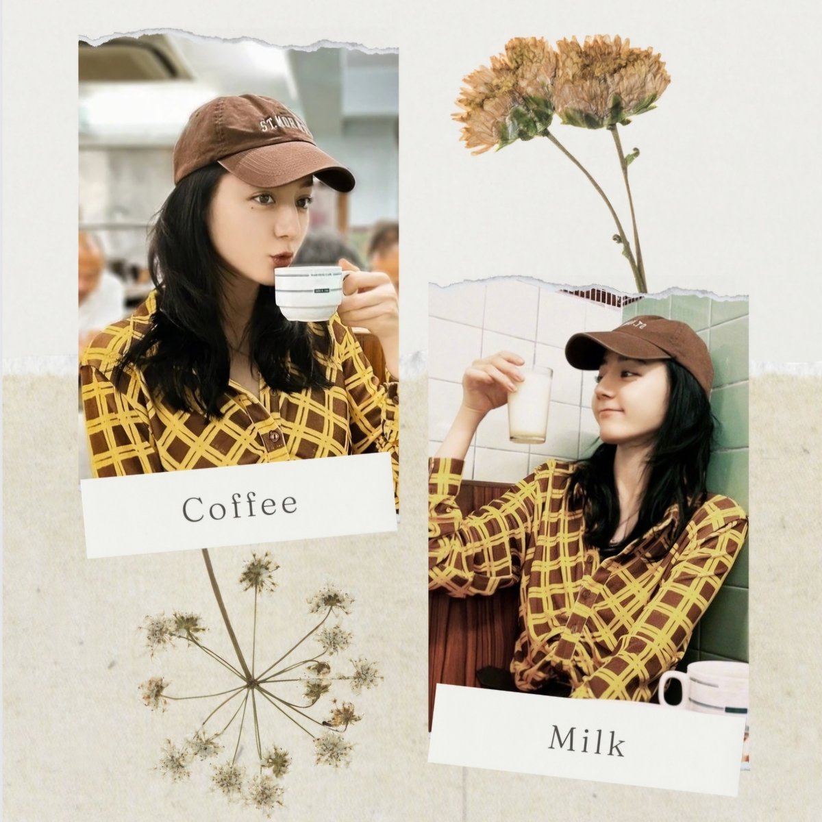 Coffee or Milk?

#Dilireba #Dilraba #迪丽热巴