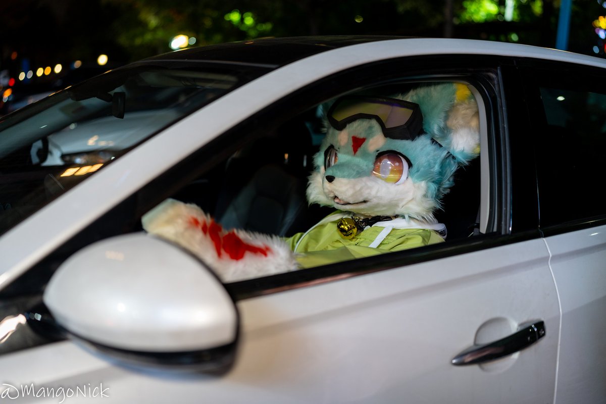 Baby, you can drive my car 🎶
Yes, I'm gonna be a star ⭐
📸 @saonick123 
#FursuitFriday