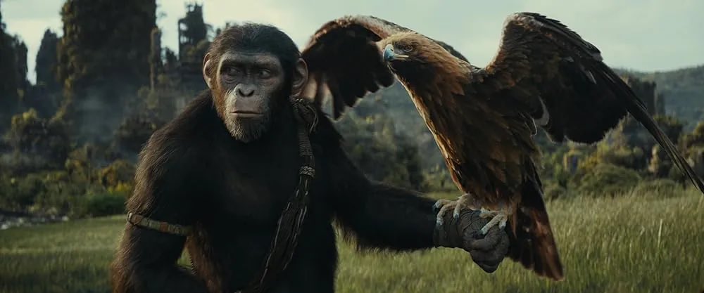 Kingdom of the Planet of the Apes is just a classic summer blockbuster. Takes a minute to get going, thoroughly introducing new characters & timeline, then never looks back. VFX are astonishing. Great performances. Feels like a start to an epic new saga. Need the next one ASAP.