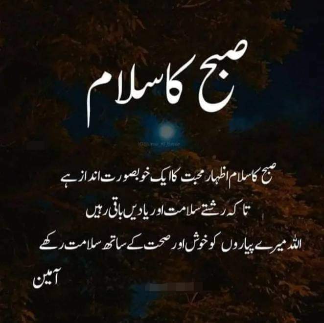 اسلام علیکم انڈ گڈ مارنگ🥀