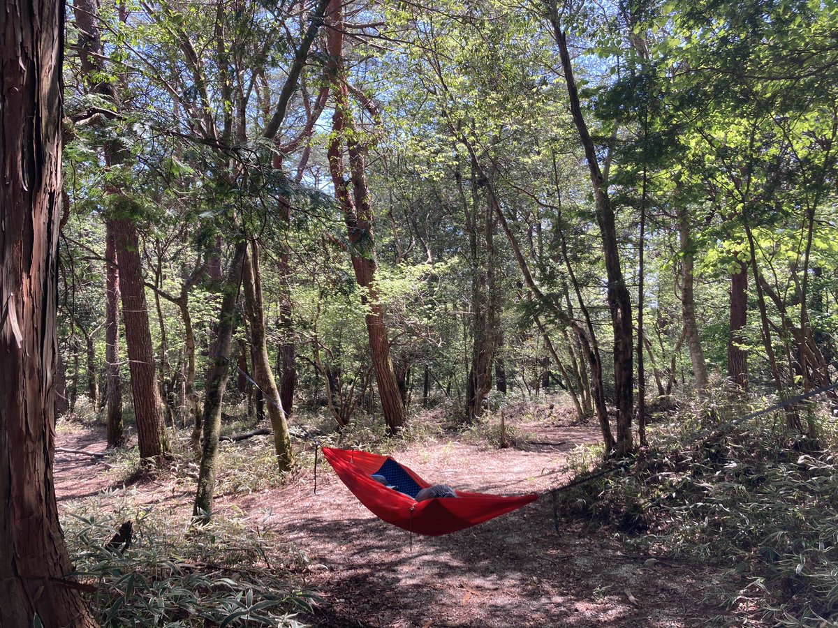 ブッシュクラフトの聖地でGWキャンプ🏕️かなりの林間サイト！