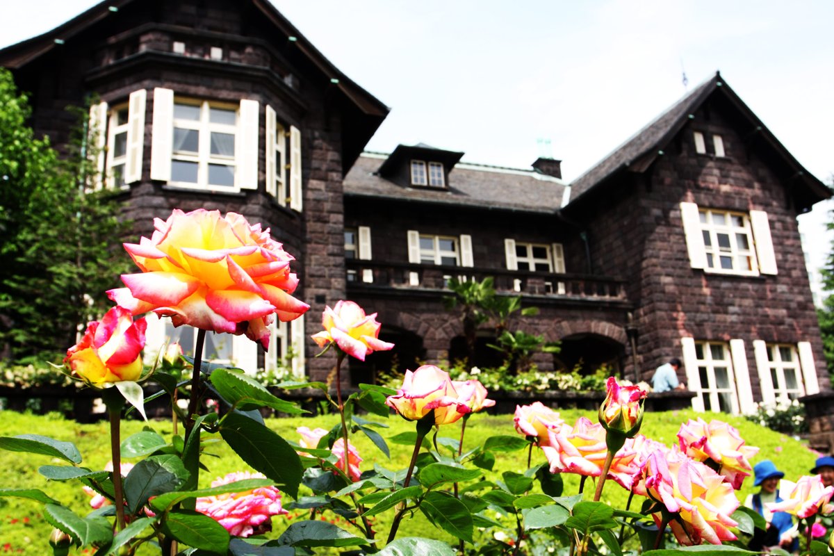 Beautiful Rose in Japan. #Flowers #flowerphotography #gardening #garden #nature #flower #NaturePhotography #rose