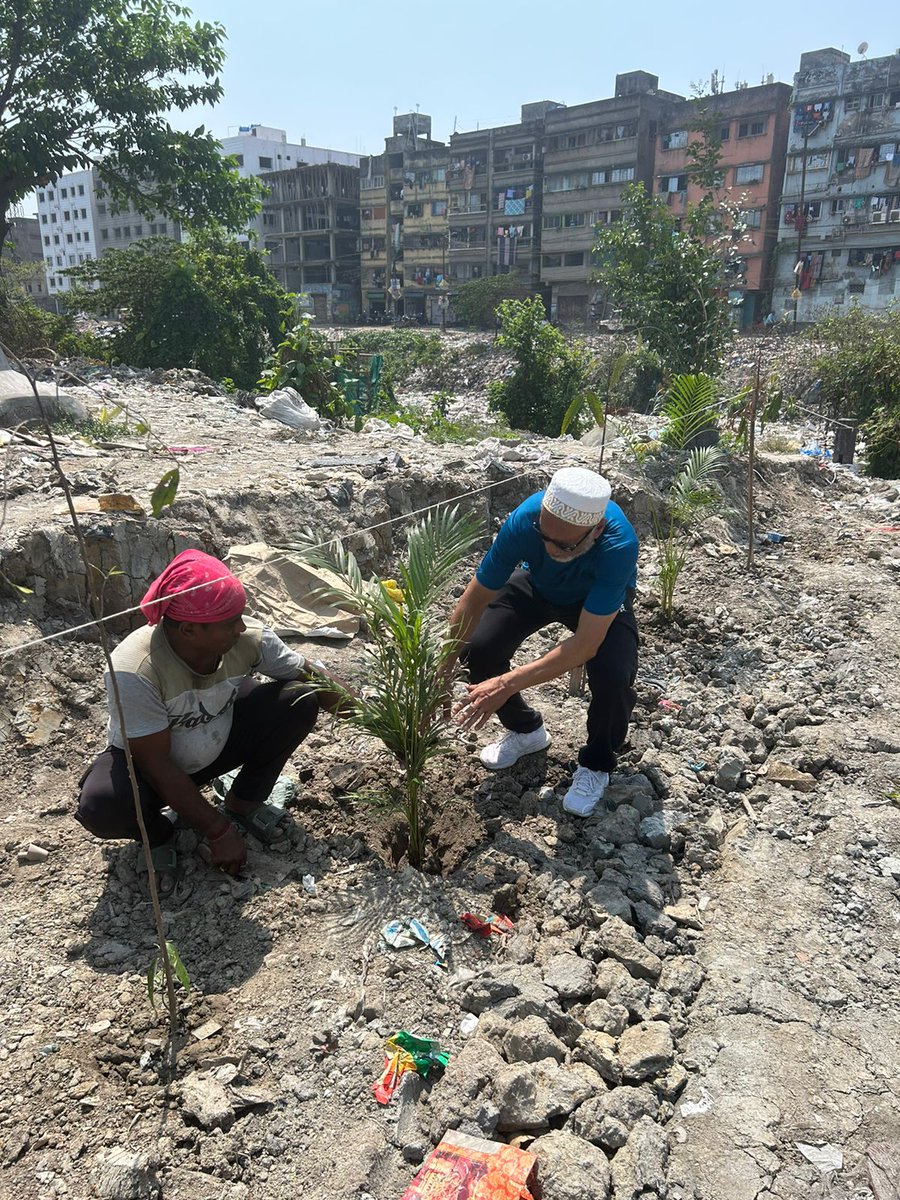 In a stride towards sustainability, #ProjectRise volunteers in #Kolkata planted 140 palm trees on barren land, enhancing the locale's aesthetic appeal and striving for the #environment!