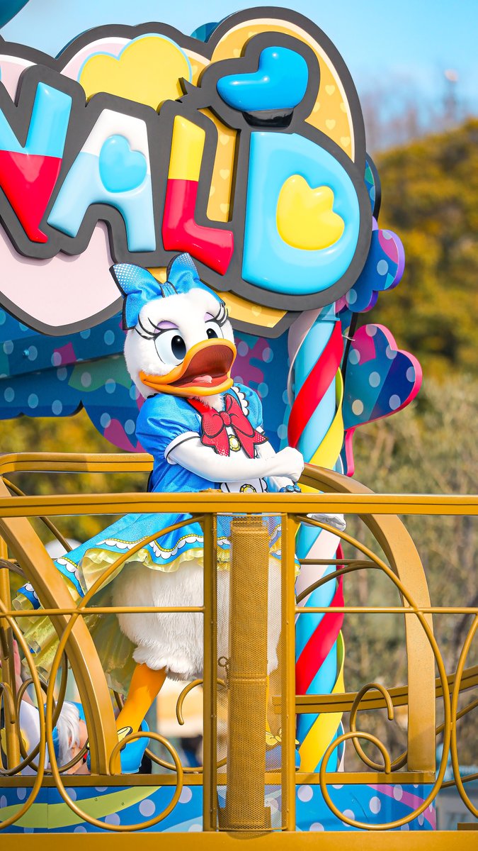 東京ディズニーランドではデイジーが
こんなにも美しいんです。