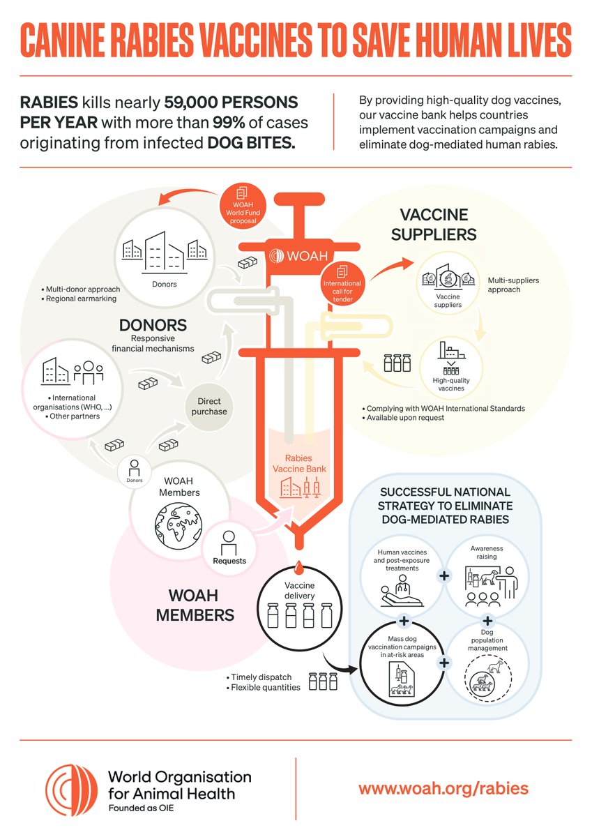 Do you know what @WOAH #rabies 🐕#VaccineBank is? It contributes to save human lives 👨‍👩‍👧‍👦 by ensuring access to high-quality #vaccines💉. #Zeroby30 #OneHealth Check it out ⤵️ woah.org/en/what-we-off…