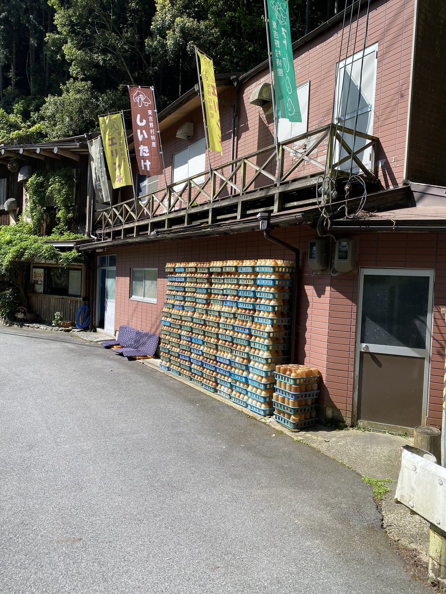 東吉野村　きのこ館