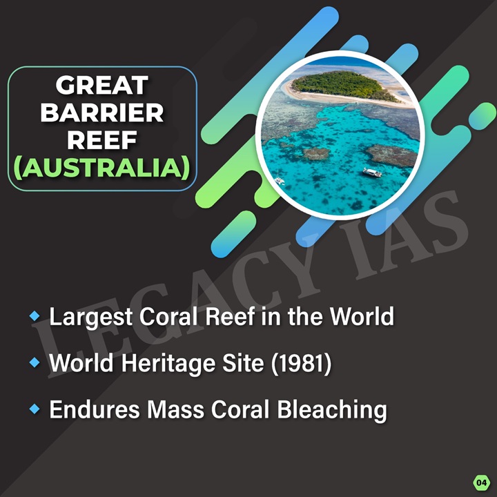 Coral Reefs - Rainforests of The Seas !!!

#coral #coralreefs #rainforest #underwater #hardcorals #Softcoral #greatbarrierreef #upscgeography #LegacyIAS