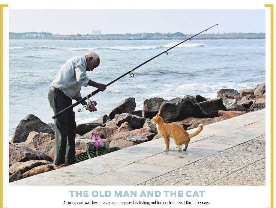 THE OLD MAN AND THE CAT @NewIndianXpress @xpresskerala @shibasahu2012 @sooraj_TNIE @pendown @citharapaul @MSKiranPrakash #oldman #Cat #fish