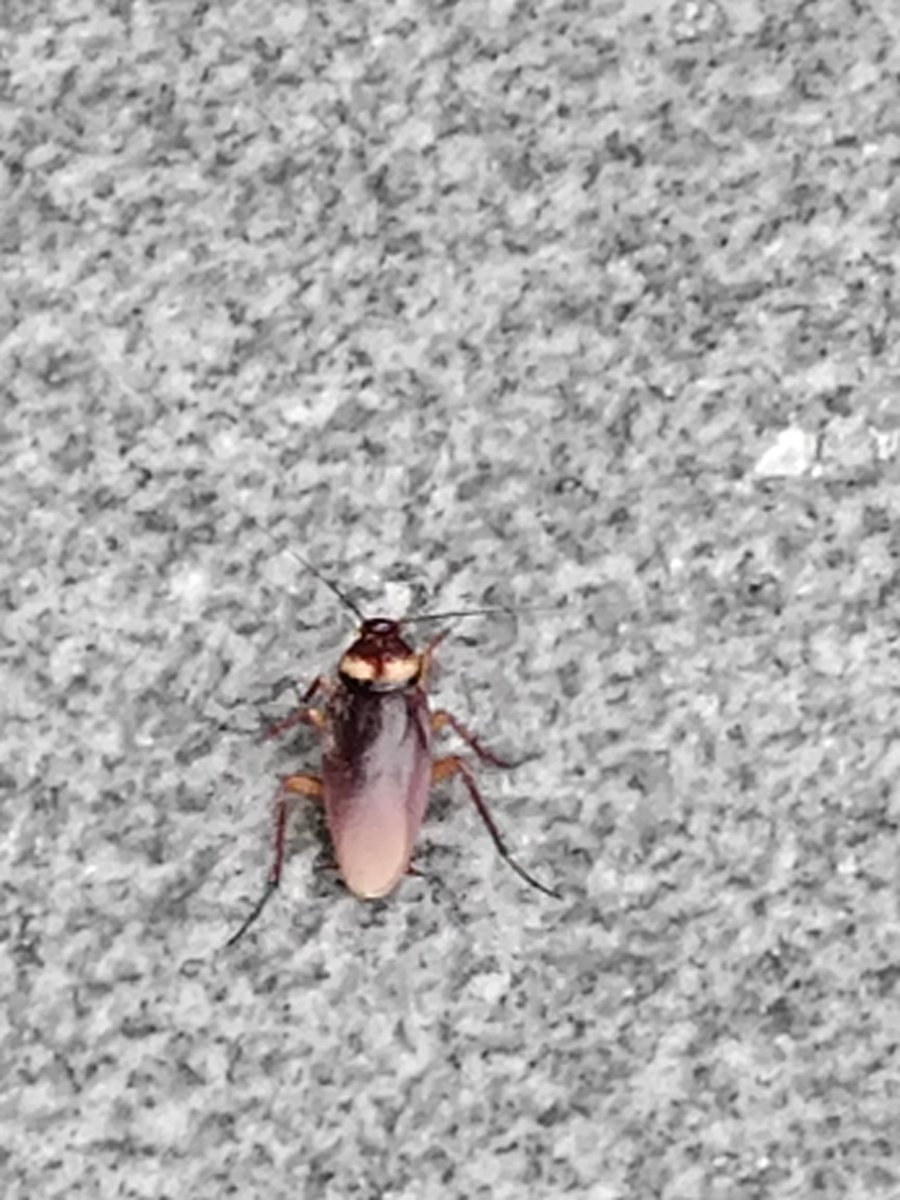 来广州迎接我的第一位朋友