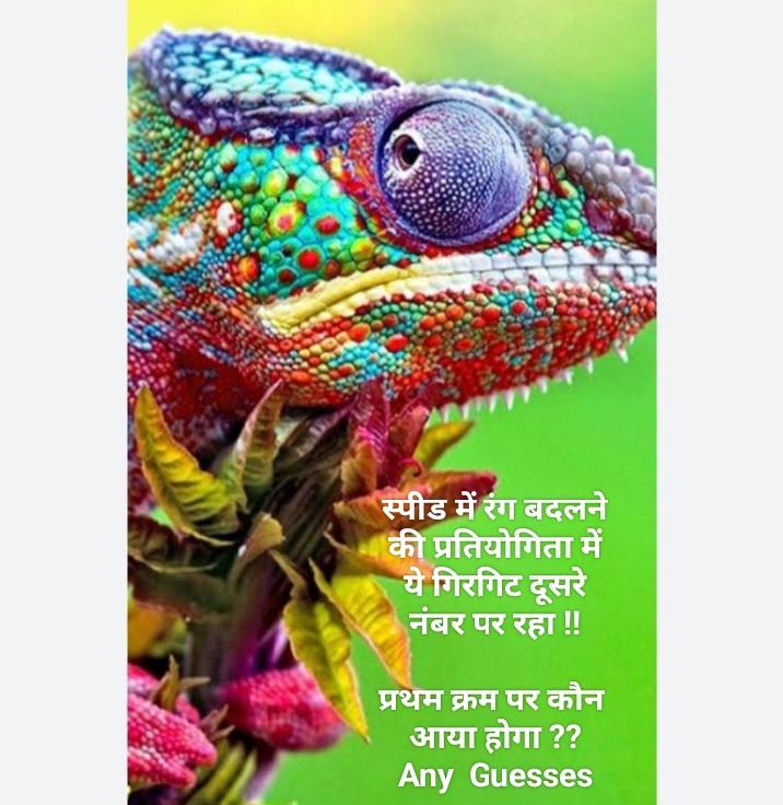 एक समाचार :