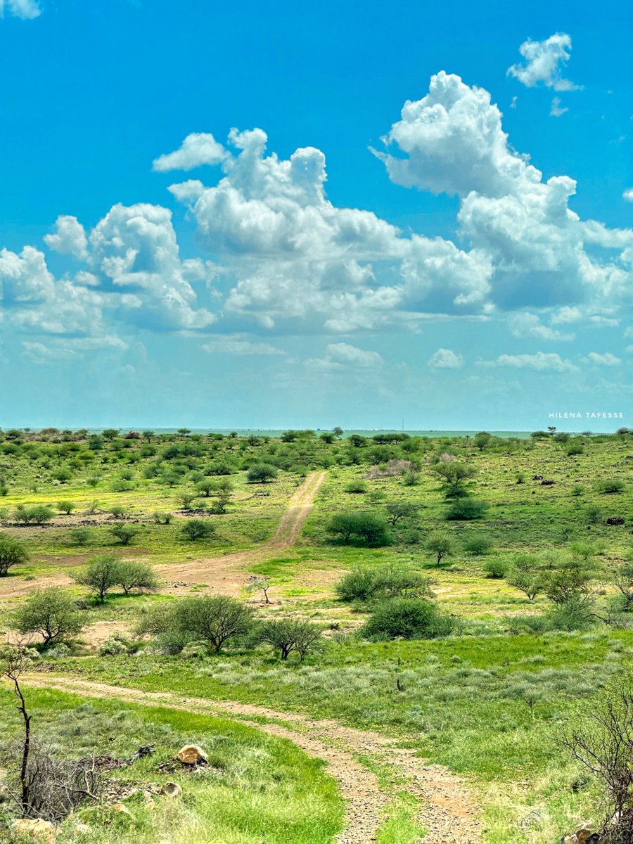Where the road meets the sky, adventure begins. Afar #CaptureEthiopia #Ethiopia #VisitEthiopia #LandOfOrigins