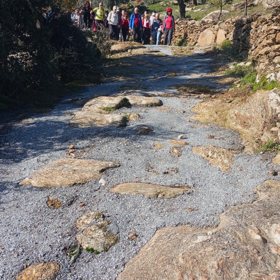 Hangi sivri zeka 2 bin 500 yıllık antik yola beton döktü? Amacınız ne sizin ?