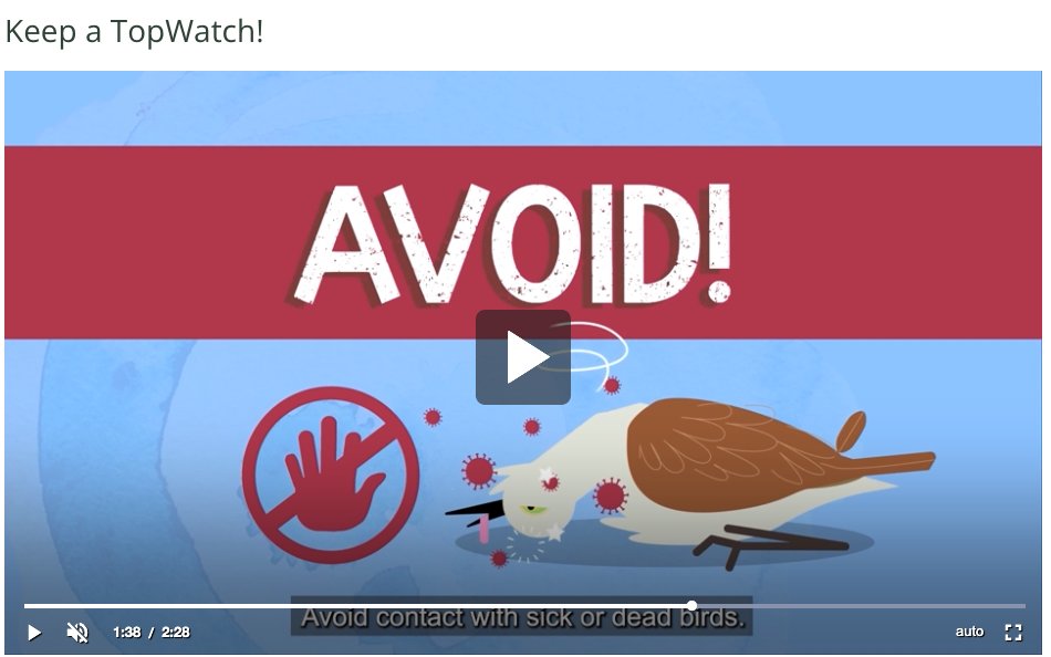 Excellent video about avian influenza, and what to do if you see sick birds in Australia. agriculture.gov.au/biosecurity-tr…