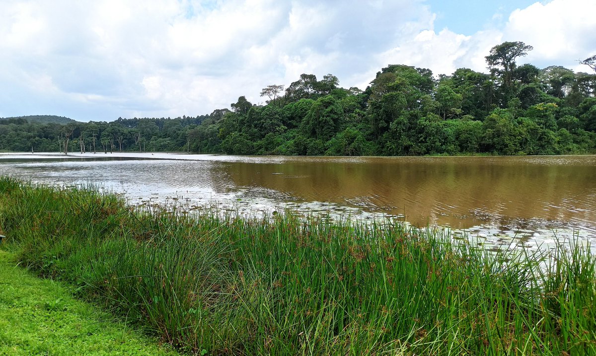 Our village dam has never overflowed yet we get a good amount of rain annually, higher than most parts of Kenya. Nyinyi mnafanyia nini dams zenu mvua ya wiki moja inajaza. Na msiseme el nino because y'all had the same problem last year & the year before.