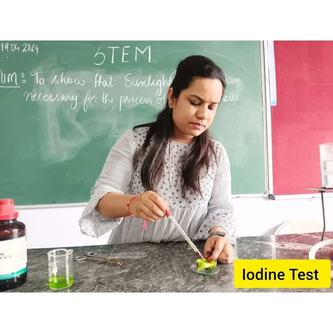 #STEM #Activity #Subject : Science #Class : VII Activity : Experiment - To show that sunlight is necessary for the process of photosynthesis. #DCMP #BestSchoolInLudhiana #stemeducation #science #FunWithLearning