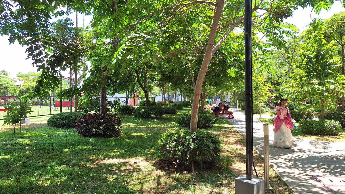 The Narra we planted two years ago now has enough shade to protect our parkgoers and make their visit more enjoyable amidst the heat. It's not too late to invest in greening.