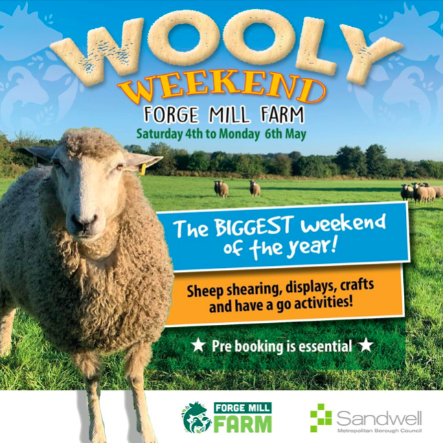I am heading to West Bromwich today to set up for the #woollyweekend at #forgemillfarm where there are lots of lovely #rarebreeds. There will be #sheepshearing as well as woolly demonstrations including my needle felted #animalportraits