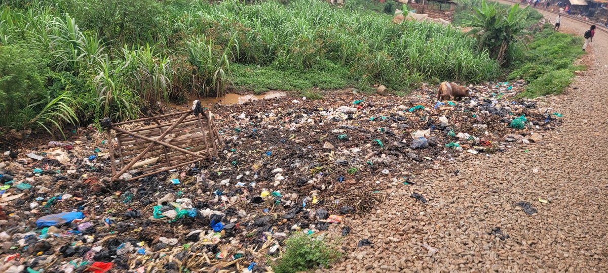 Transformation of any country is a process. It's a process that requires all of us to take part. Proper waste management at all levels, whether elite or otherwise, is part of that process. 📸 train passenger