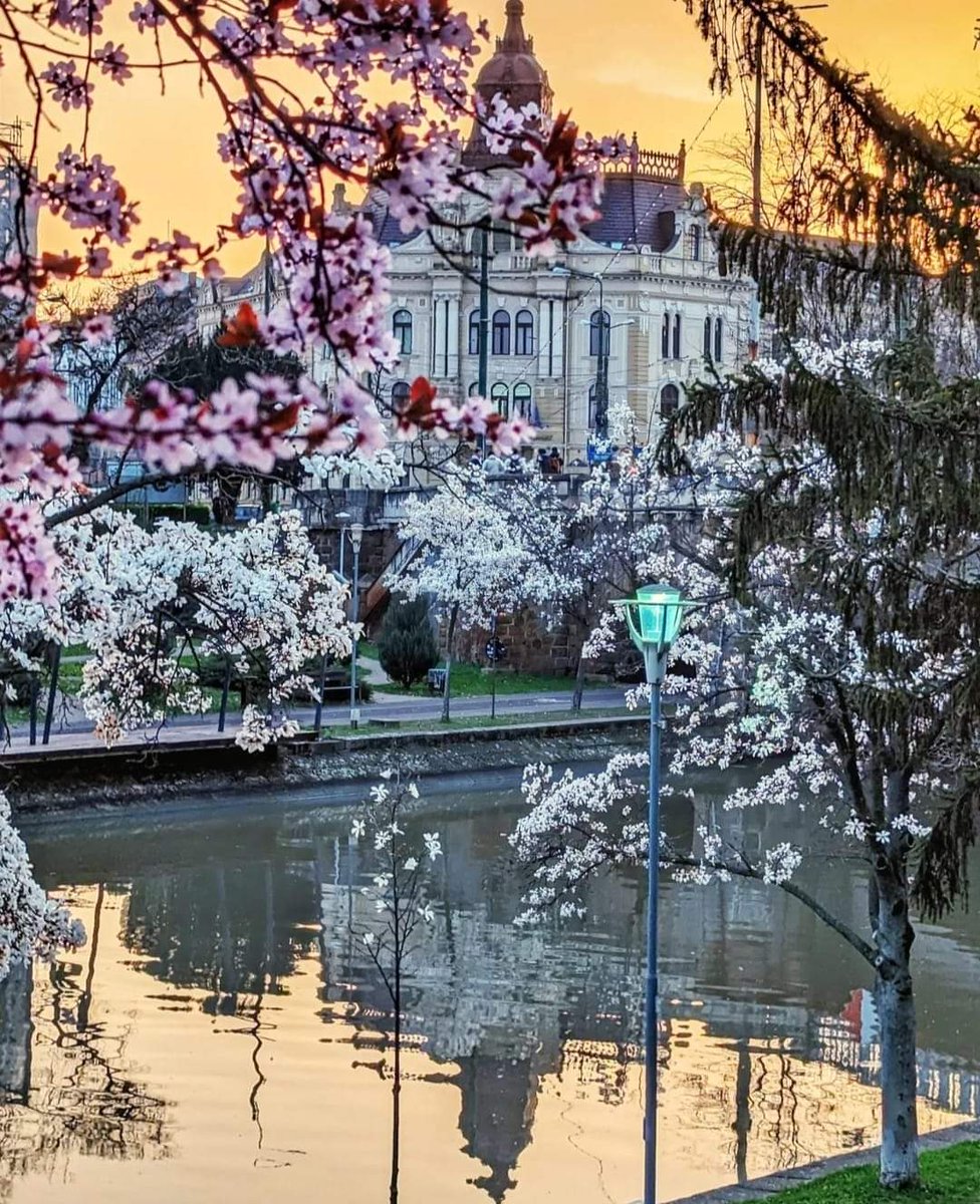 Timișoara 🤗 de-a lungul râului Bega, primăvara curge domol, într-o îmbrățișare de veacuri. #Timișoara #România
📷bobpike
#TraveltoRomânia