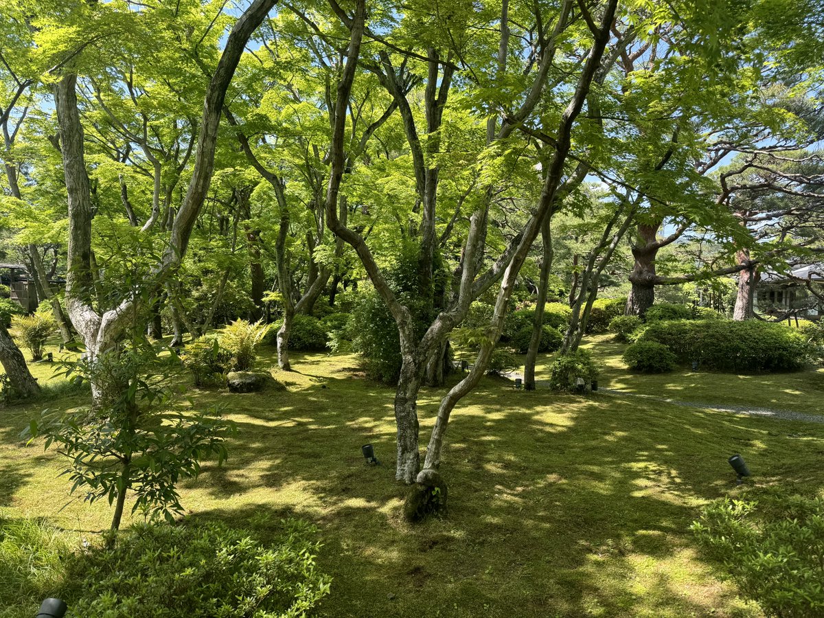 初めての里、広々しててすごく綺麗だったー！
SDオーナーさんたちともおしゃべりできて最高でした…