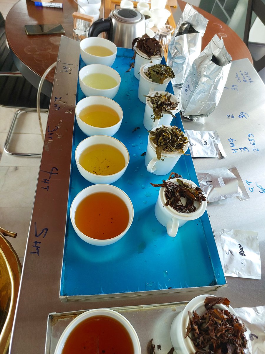 Different teas from one tea garden. Did you know you can make different teas from the same tea leaf? These are handmade, artisan teas from #lka Would you pay a premium for them? 
#ceylontea