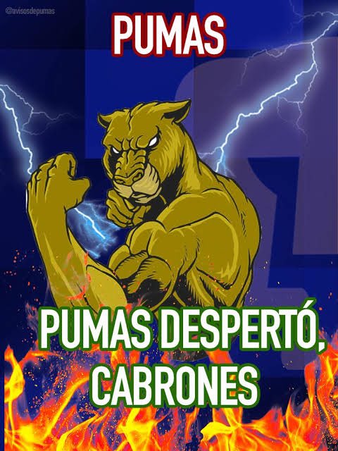 Hoy pasan mis Pumas