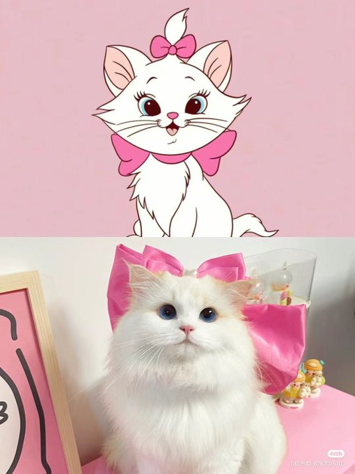 「bow white cat」 illustration images(Latest)