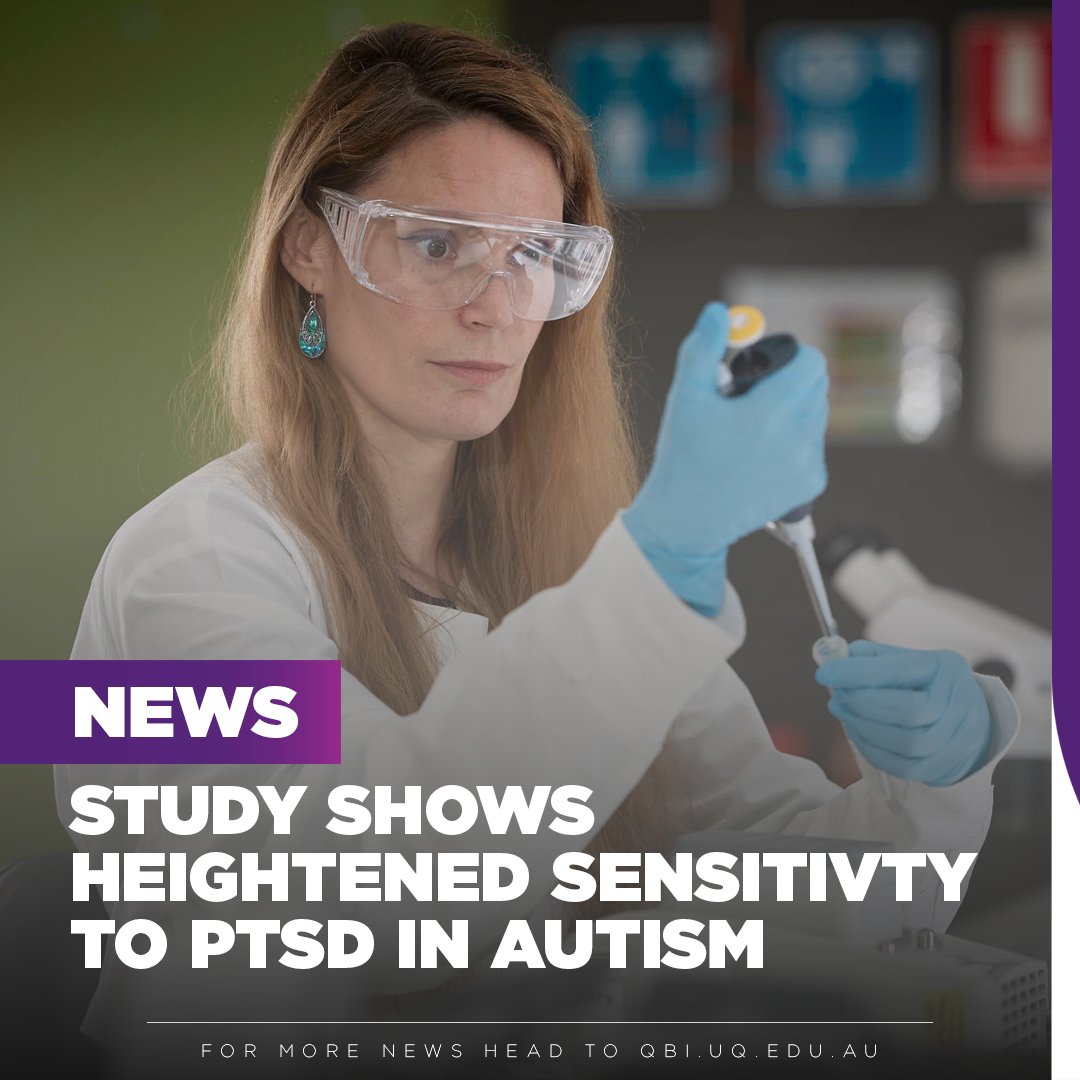 For the first time, Dr Shaam Al Abed and Dr Nathalie Dehorter from #QBI have proven that a mild stress is enough to trigger post-traumatic stress disorder (PTSD) in mouse models of autism spectrum disorder (ASD). 🔗 bit.ly/4a3ePZB @shaam_alabed @DehorterLab