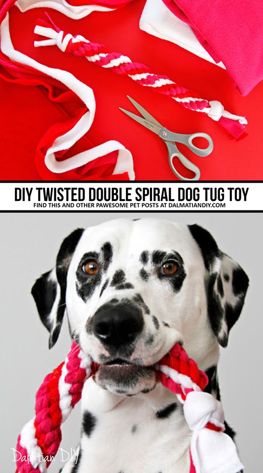 MuratazaAl9104's tweet image. &quot;Pawsitively crafty: DIY adventures for your furry friends. #PetProjects 🐾✂️
