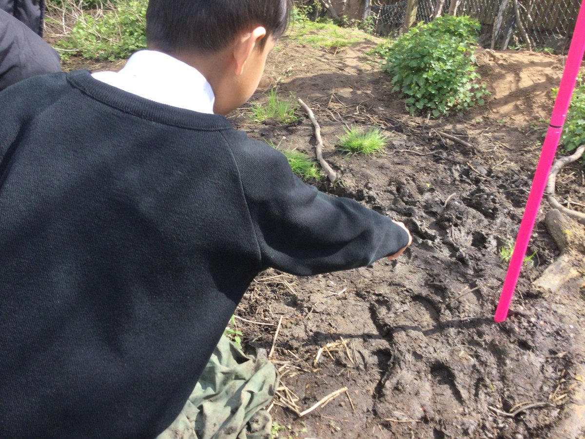 #NoMowMay is here! Year 3 & 4 students were busy outside school this week, campaigning and planting wild flower seeds kindly donated by @Notcuttsuk. Put the lawnmower away and give nature the boost it deserves! #GlobalGoal15 @williamhulmes #educationwithcharacter 🌼🌿