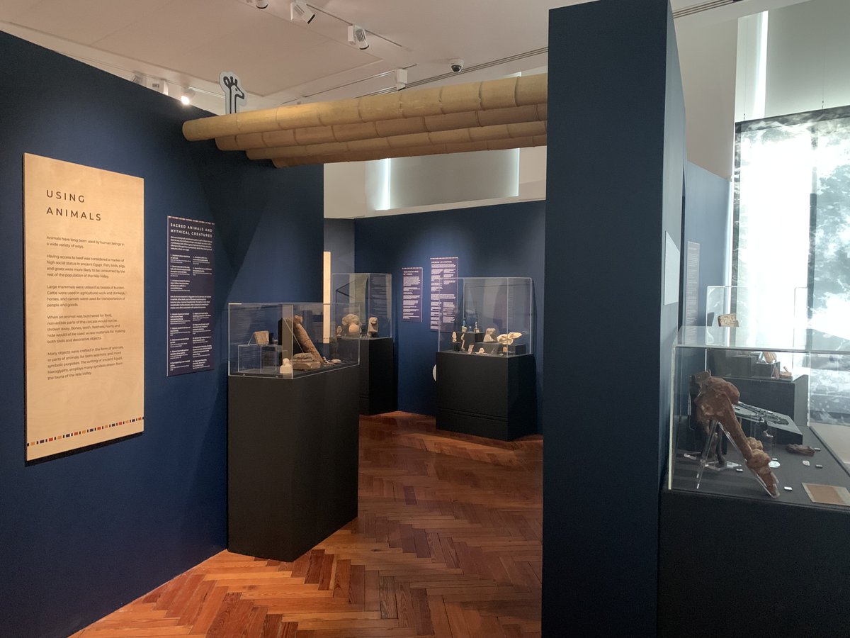 NEWS | An exciting exhibition at @VictoriaGallery that explores the fascinating position animals held in ancient Egyptian and Sudanese society and culture opens this Saturday 4 May 🦛🐈🐍🐒 Read more here ⬇️ news.liverpool.ac.uk/2024/05/03/uni…