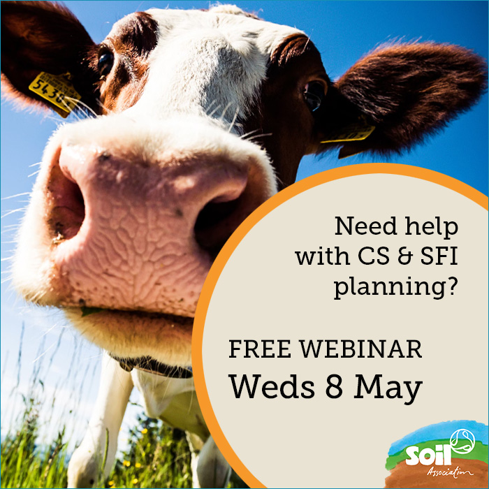 🚜 Farmers & Growers in England, how’s your business planning going re @DefraGovUK's #CS #SFI payments? Need a little guidance working out how different options will affect your finances? Free webinar: 📆 Weds 8 May, 6-7.15pm 👉 soilassociation.co/3Ug0Iul #FutureFarmResilience