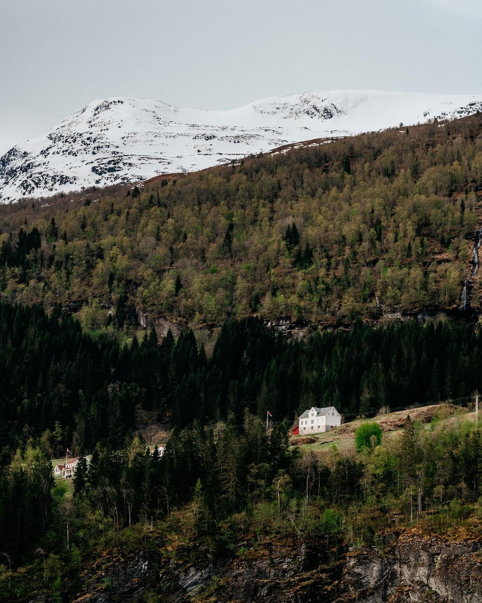 James Bridle tweet media