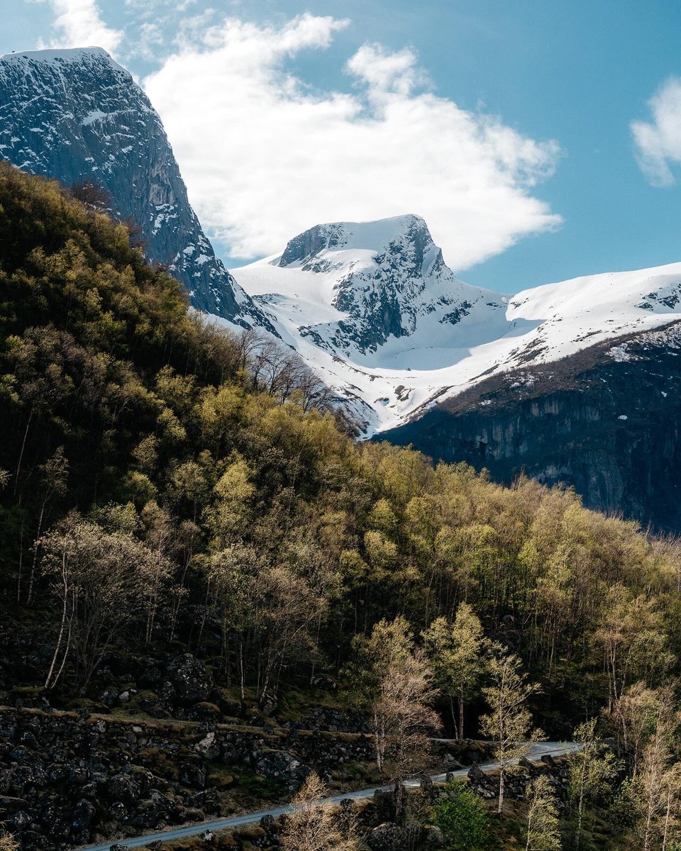 James Bridle tweet media