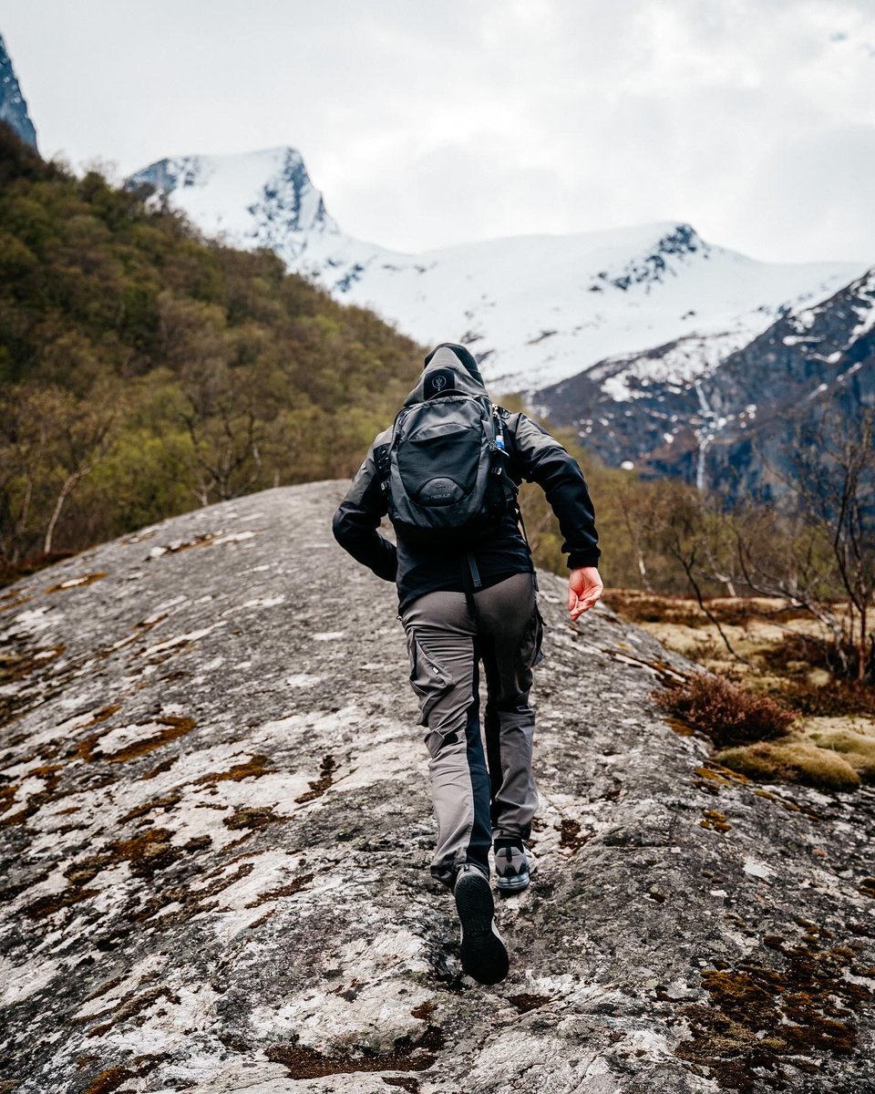 James Bridle tweet media