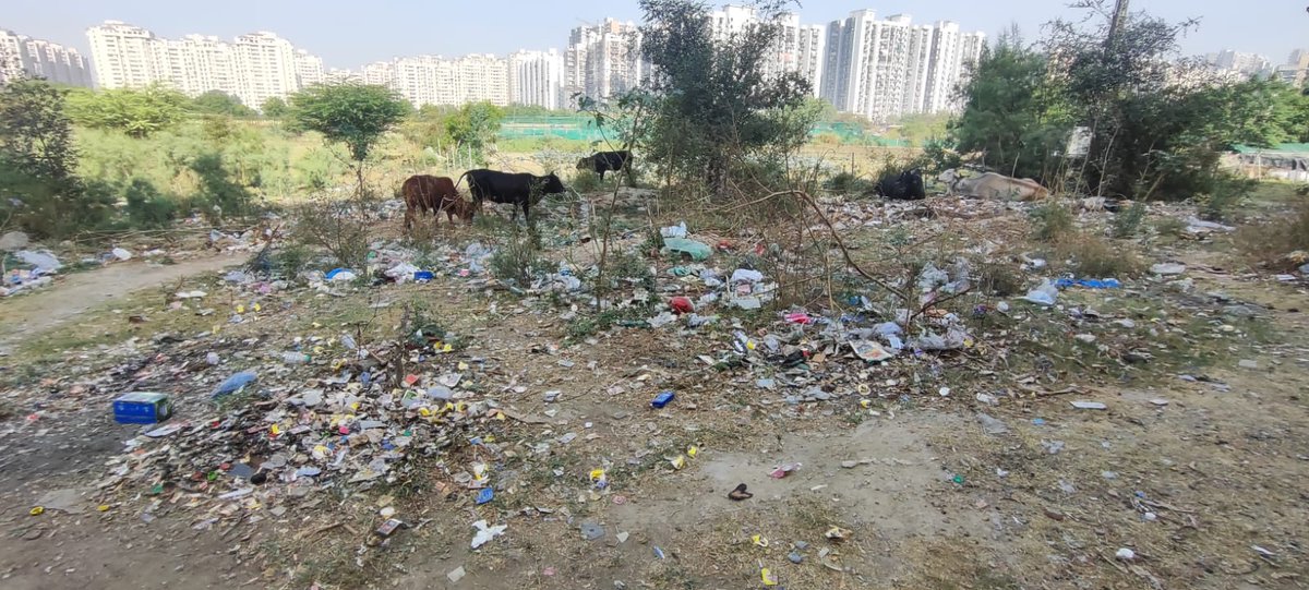 Dear @noida_authority Kindly have this area cleaned. Opp: Antriksh Forest,Sec 77, Main Gate. Thanks @CeoNoida