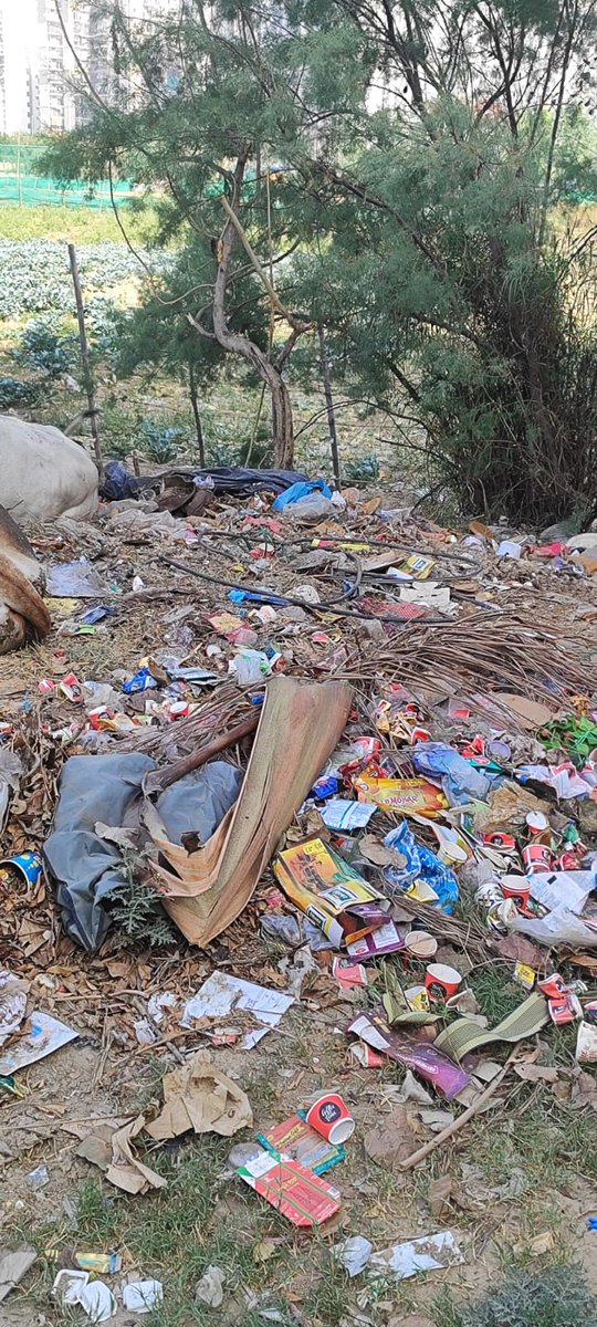 ActivistSukhpal's tweet image. Dear @noida_authority 
Kindly have this area cleaned. Opp: Antriksh Forest,Sec 77, Main Gate. Thanks 
@CeoNoida